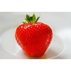 Strawberry (Ripe)  10ml The Flavor Apprentice
